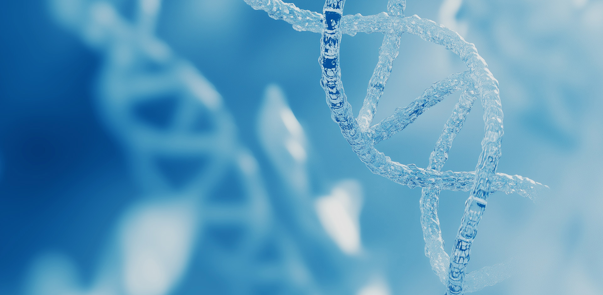 益善生物<br> 解读个体差异，助力健康人生