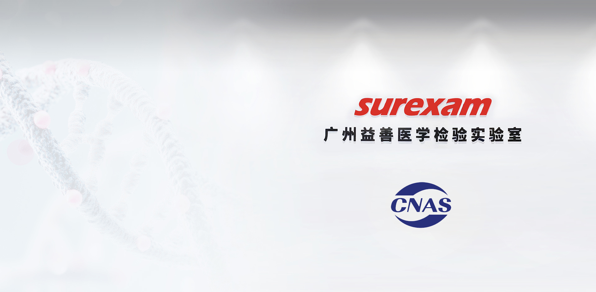  <p style="color: black;">广州益善医学检验实验室<br>获CNAS ISO 15189认可证书