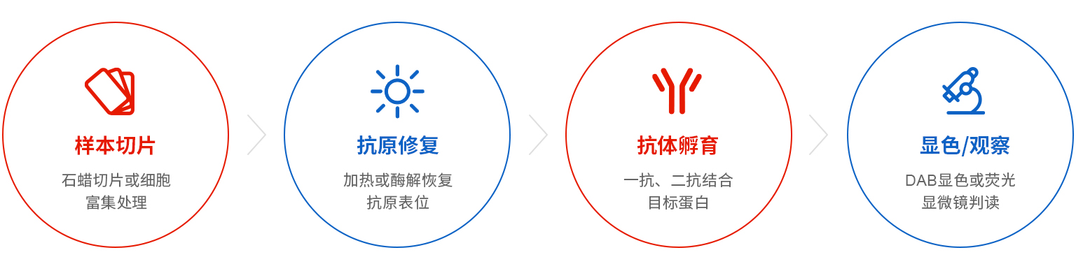 检测流程