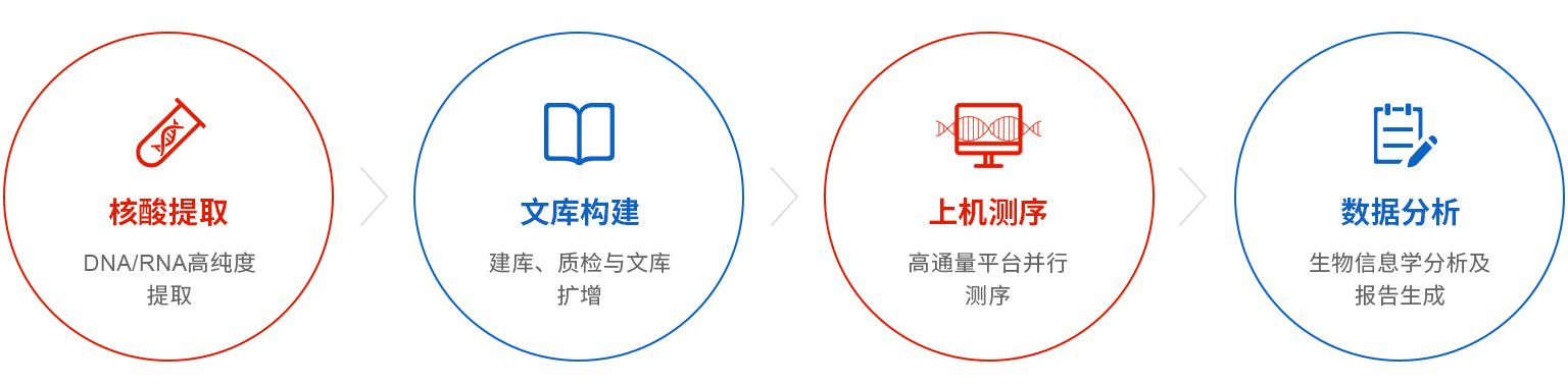 检测流程