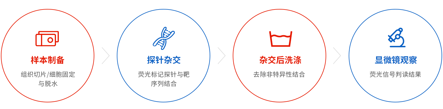 检测流程