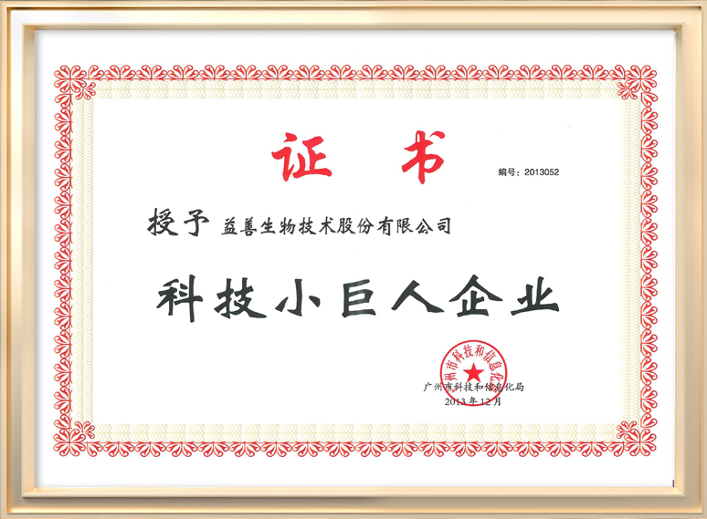 科技小巨人企业