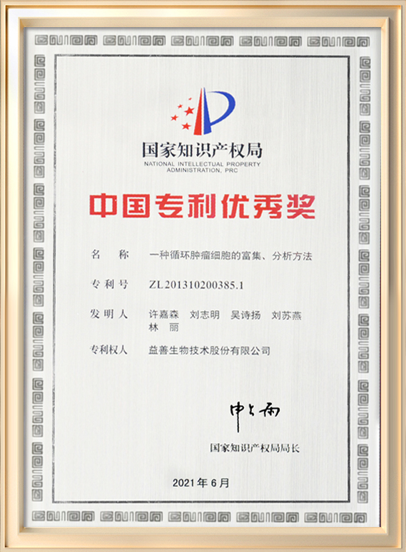中国专利优秀奖