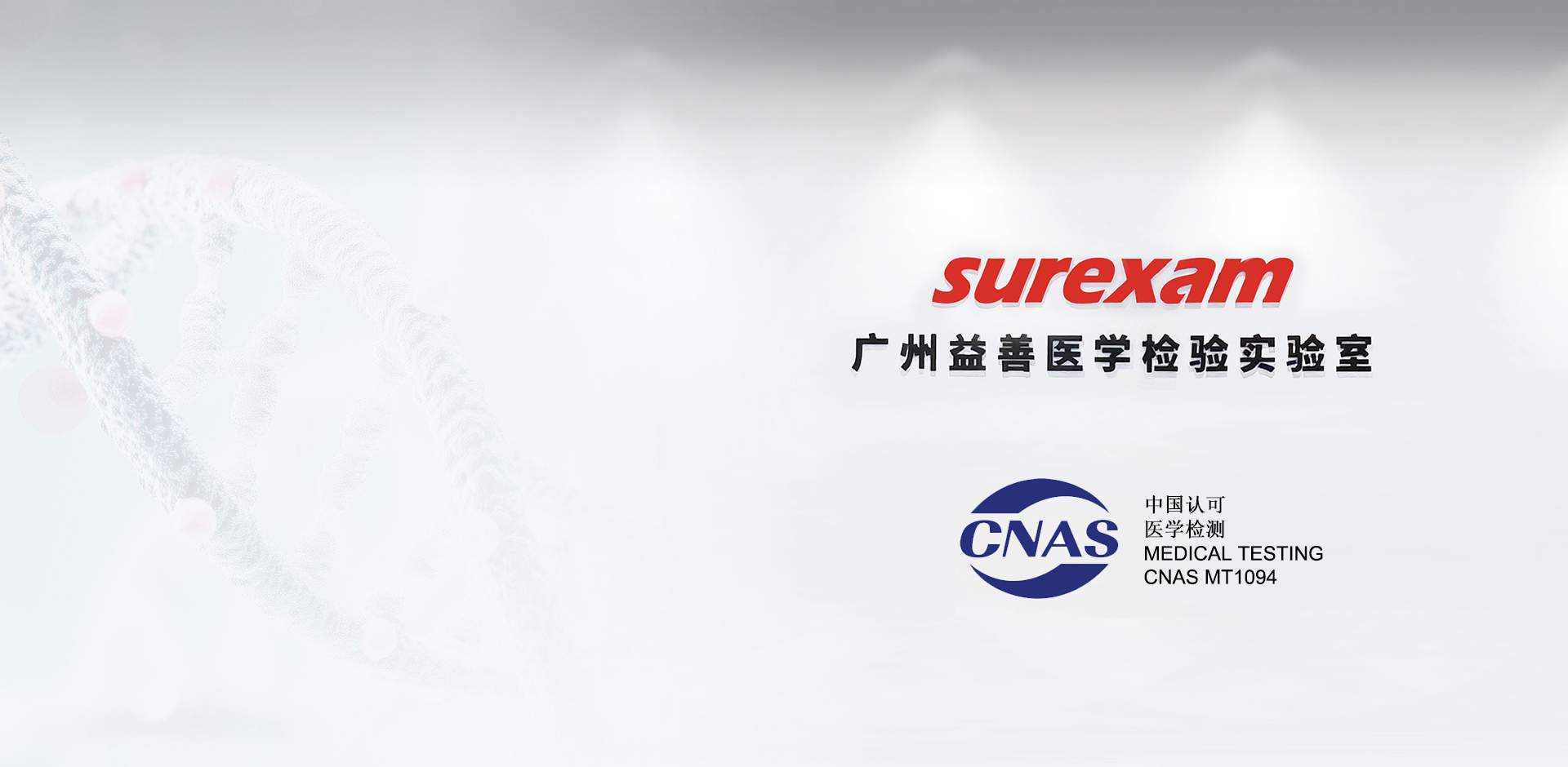  <p style="color: black;">广州益善医学检验实验室<br>获CNAS ISO 15189认可证书